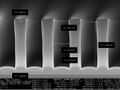 Thumbnail for version as of 06:50, 10 February 2025