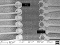 Thumbnail for version as of 13:57, 21 January 2026