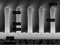 Thumbnail for version as of 06:50, 10 February 2025