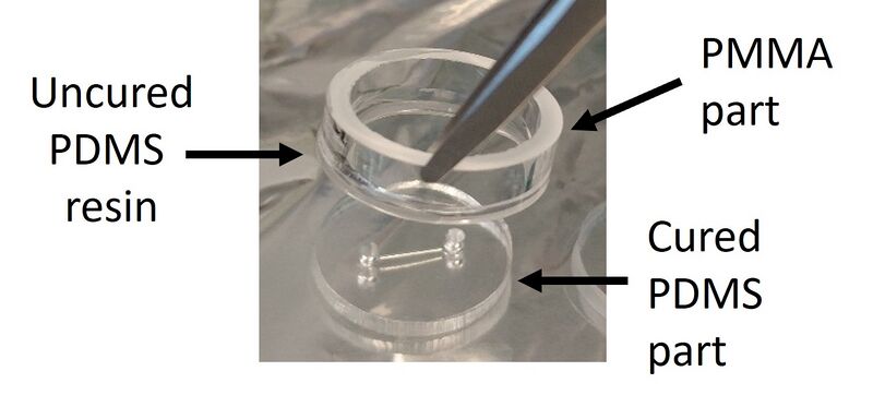File:PMMA PDMS bonding.jpg