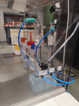 Bubbles installed inside the N2 extraction box.