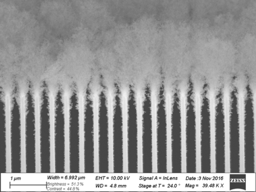 AlN with N2 trenches3 SEM.png