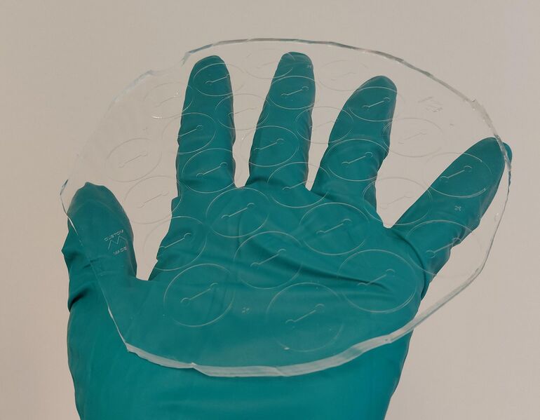 File:PDMS casted.jpg