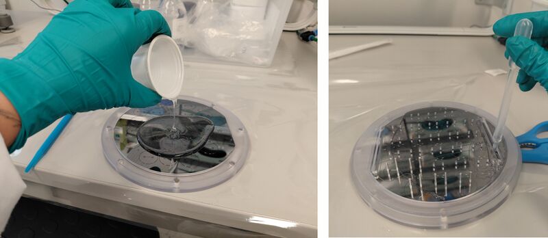 File:PDMS casting in mold.jpg
