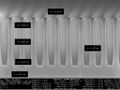 Thumbnail for version as of 06:50, 10 February 2025