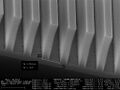 Thumbnail for version as of 06:50, 10 February 2025