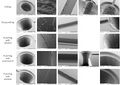 Thumbnail for version as of 15:32, 16 July 2026