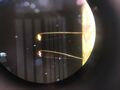 Thumbnail for version as of 10:35, 11 September 2025