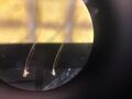 Thumbnail for version as of 11:40, 8 September 2025