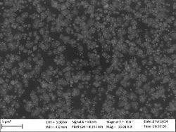 Temperature 250 oC, 750 cycles.