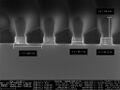 Thumbnail for version as of 12:21, 6 February 2025